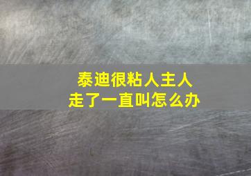 泰迪很粘人主人走了一直叫怎么办