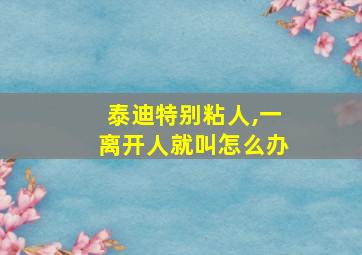 泰迪特别粘人,一离开人就叫怎么办