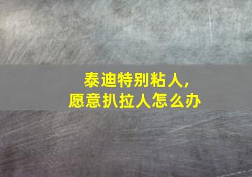 泰迪特别粘人,愿意扒拉人怎么办