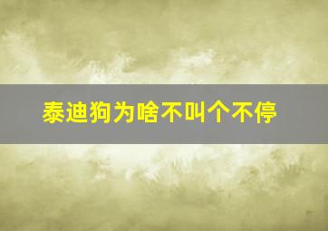 泰迪狗为啥不叫个不停