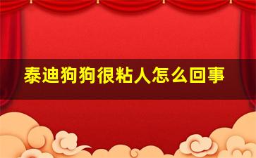 泰迪狗狗很粘人怎么回事