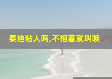 泰迪粘人吗,不抱着就叫唤