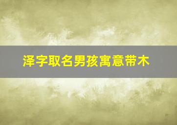 泽字取名男孩寓意带木