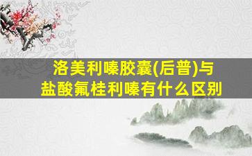 洛美利嗪胶囊(后普)与盐酸氟桂利嗪有什么区别