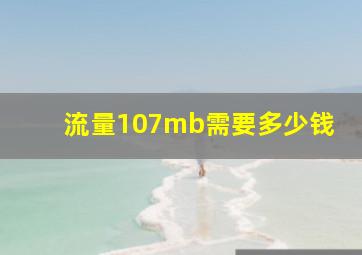 流量107mb需要多少钱