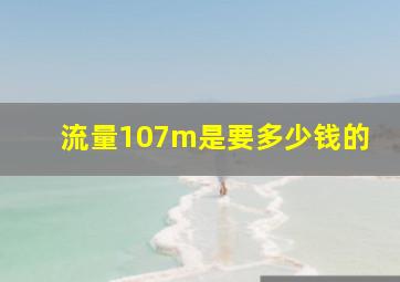 流量107m是要多少钱的