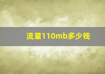 流量110mb多少钱