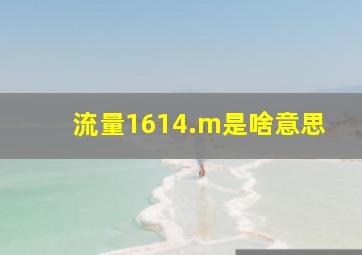 流量1614.m是啥意思