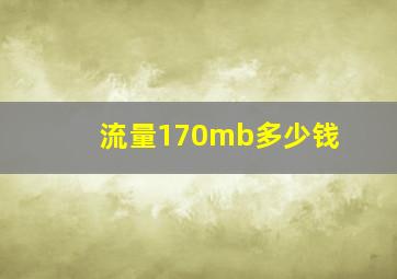 流量170mb多少钱