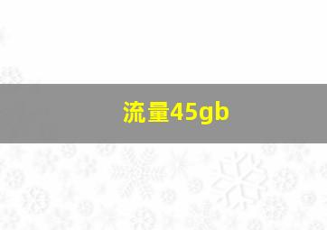 流量45gb