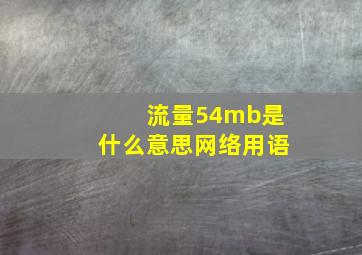 流量54mb是什么意思网络用语