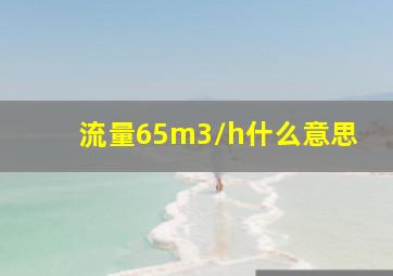 流量65m3/h什么意思