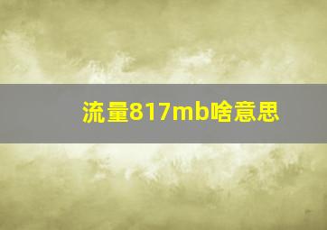 流量817mb啥意思