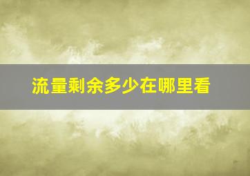 流量剩余多少在哪里看