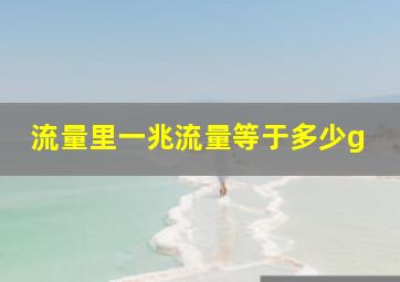 流量里一兆流量等于多少g