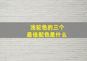 浅驼色的三个最佳配色是什么