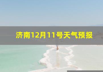 济南12月11号天气预报