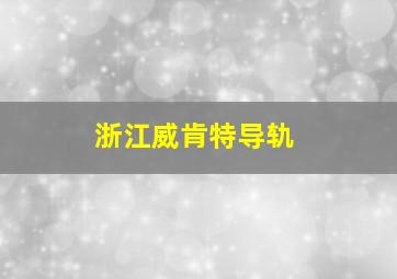 浙江威肯特导轨