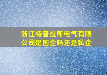 浙江特普拉斯电气有限公司是国企吗还是私企