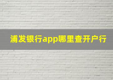 浦发银行app哪里查开户行