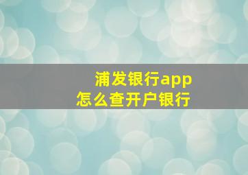 浦发银行app怎么查开户银行