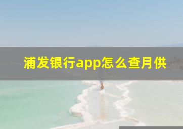 浦发银行app怎么查月供