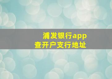 浦发银行app查开户支行地址