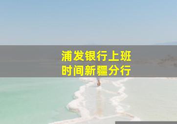 浦发银行上班时间新疆分行