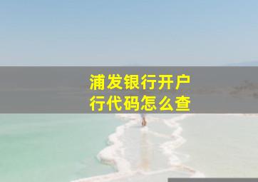 浦发银行开户行代码怎么查