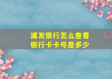 浦发银行怎么查看银行卡卡号是多少