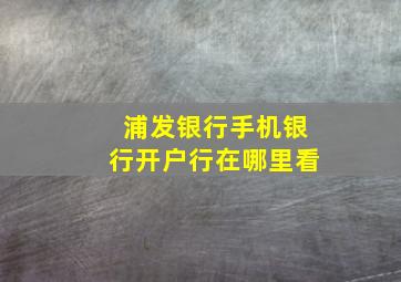 浦发银行手机银行开户行在哪里看