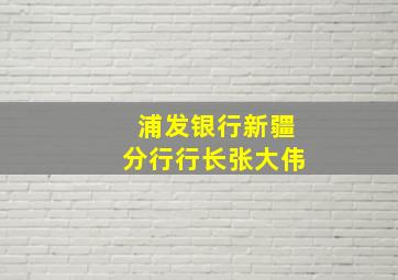 浦发银行新疆分行行长张大伟