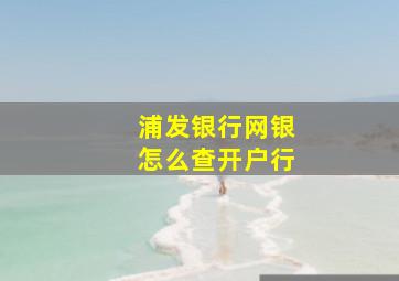 浦发银行网银怎么查开户行