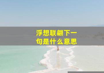 浮想联翩下一句是什么意思