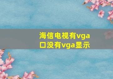 海信电视有vga口没有vga显示