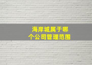 海岸城属于哪个公司管理范围