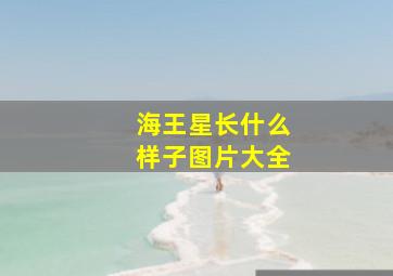 海王星长什么样子图片大全