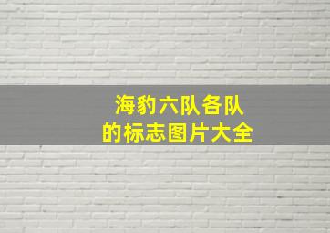 海豹六队各队的标志图片大全