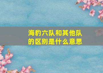 海豹六队和其他队的区别是什么意思