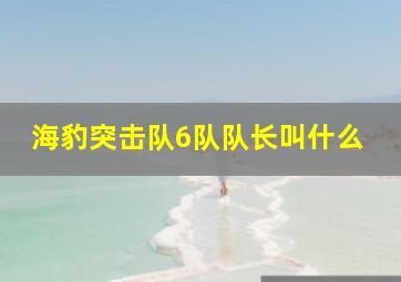 海豹突击队6队队长叫什么