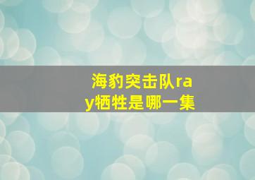 海豹突击队ray牺牲是哪一集