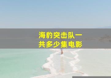 海豹突击队一共多少集电影