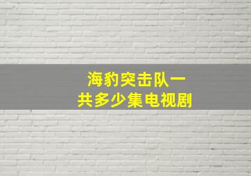 海豹突击队一共多少集电视剧