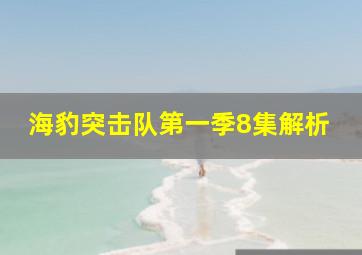 海豹突击队第一季8集解析