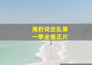 海豹突击队第一季全集正片