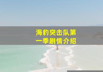 海豹突击队第一季剧情介绍