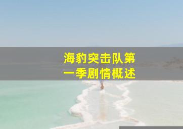 海豹突击队第一季剧情概述