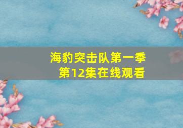 海豹突击队第一季第12集在线观看