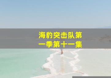 海豹突击队第一季第十一集