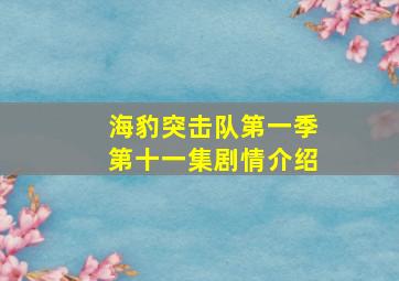 海豹突击队第一季第十一集剧情介绍